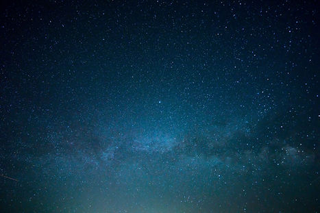 Image by Wil Stewart