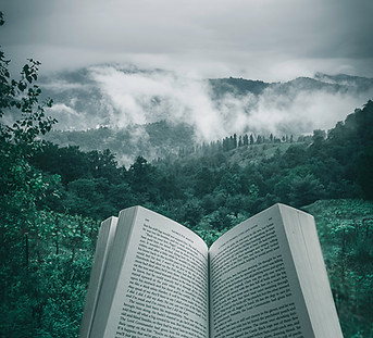 Image by Kourosh Qaffari