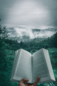 Image by Kourosh Qaffari