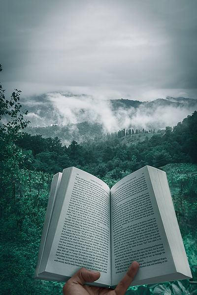 Image by Kourosh Qaffari