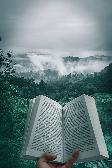 Image by Kourosh Qaffari