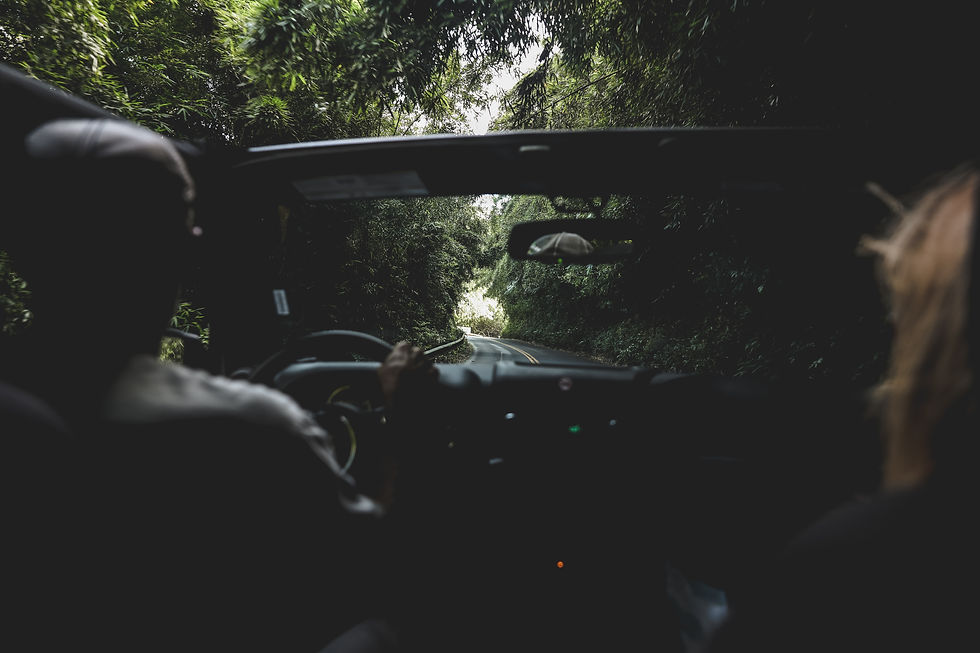 Image by Nick Brugioni