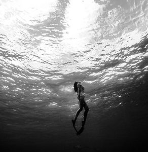 Image by Jeremy Bishop