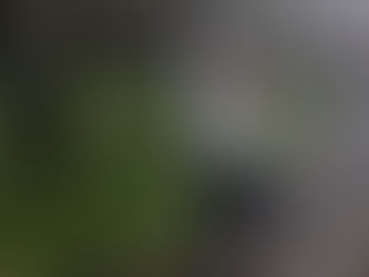 UFO Report | Sighting | Co. Antrim | 16th August 2020