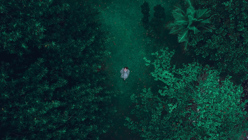 Princess lost in the woods