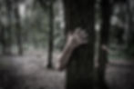 Ghostly Tales and Haunted Trails 10_31_8:00