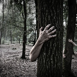 ZOMBIE NIGHT VENERDI' 1 LUGLIO ORARIO 21 - 22