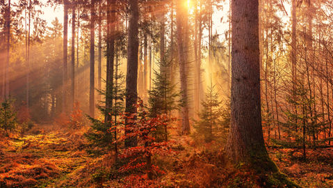 Redefining Success for Human Flourishing