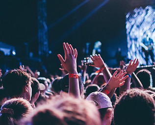 Image by Alex Bracken