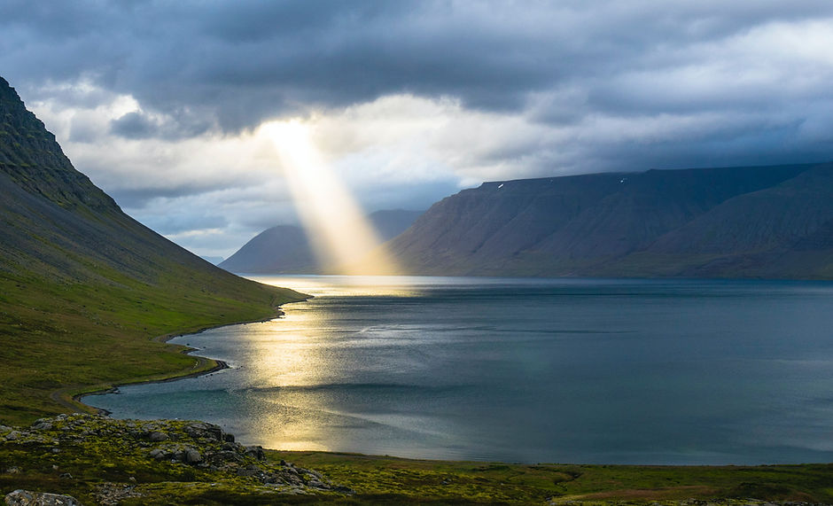 Image by Davide Cantelli