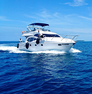 Image by Alina Kacharho