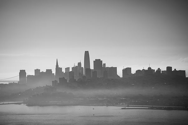Image by Stephen Leonardi