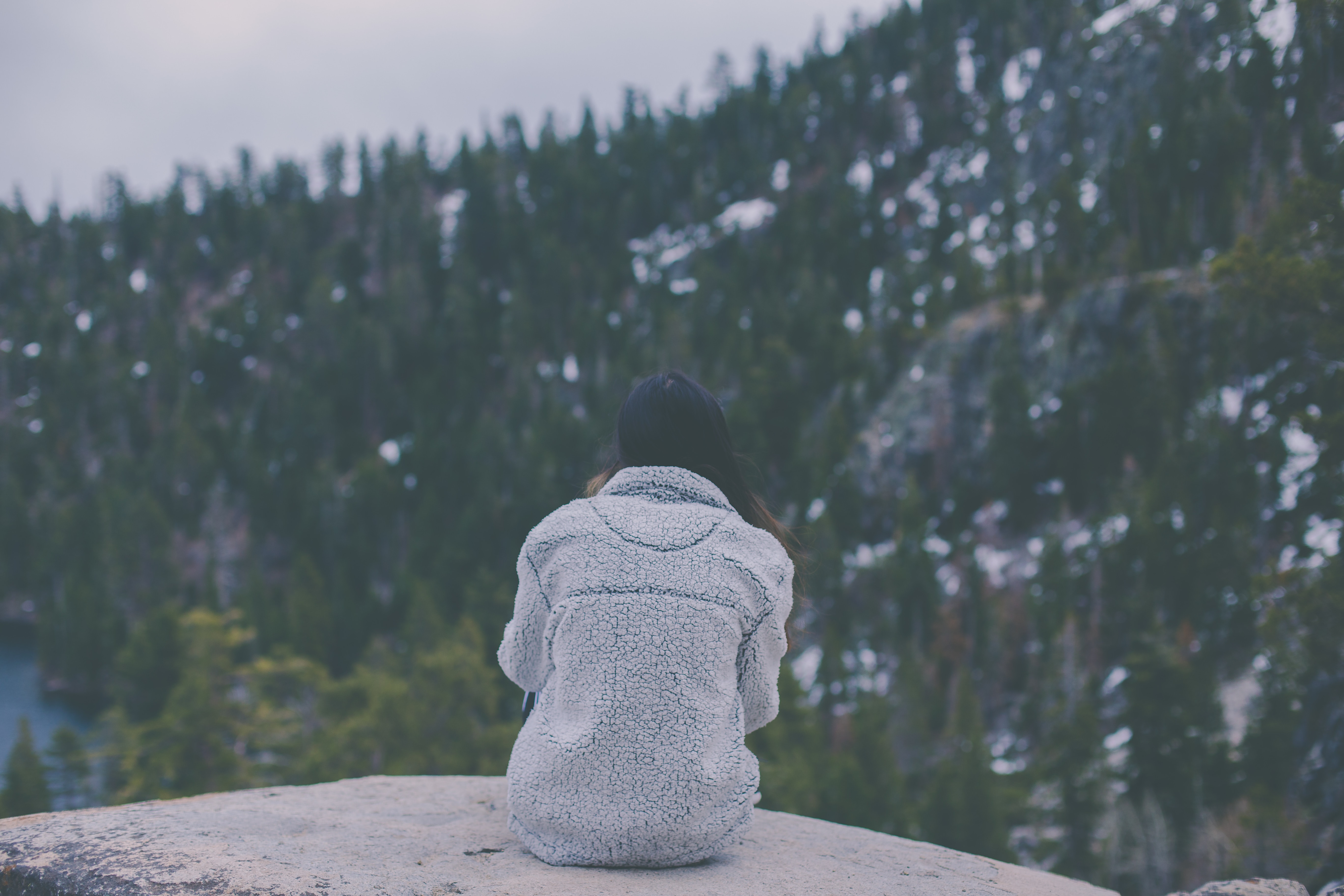 Hibernation Tips for Winter