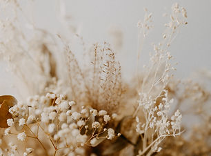 Image by Annie Spratt