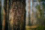 Miniature : Hochet #6