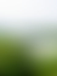 Ejemplos de destrucción y de recuperación de humedales