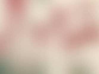 Recommandation de lecture n°2