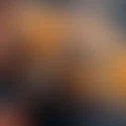 Les feuilles mortes jouent un rôle de paillage naturel