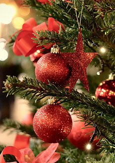 Image by Fabien Maurin