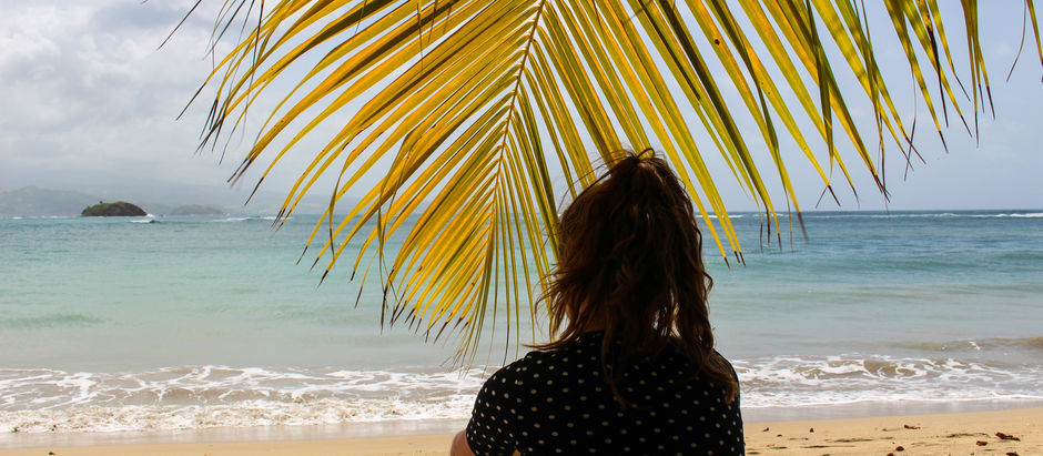"Découvrez les 7 plus belles plages de la Martinique - Guide pour des vacances paradisiaques"