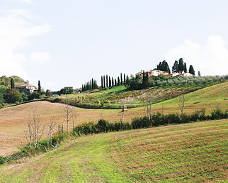 Chianti Day Tour