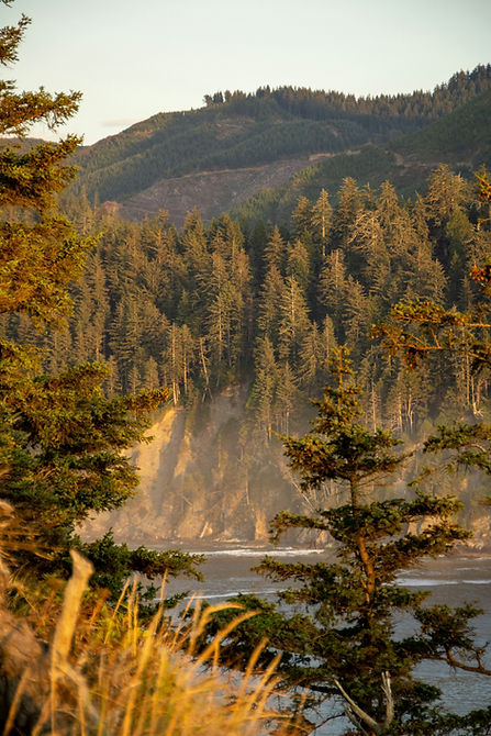 Image by Brian Stevens