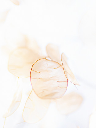 Image by laura adai