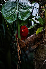 Image de Ryan Chan