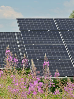 The Structural Backbone of Solar Energy: Why Mounting Systems Are Critical for Utility-Scale PV Growth