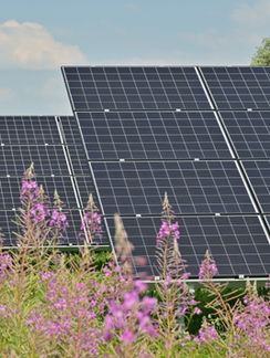 The Structural Backbone of Solar Energy: Why Mounting Systems Are Critical for Utility-Scale PV Growth