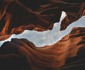Image by Peter Olexa