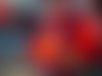 Verplichte rapportage zakelijk en woon-werkverkeer werknemers vanaf 1 juli 2024