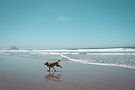 Image by Maggie Riordan