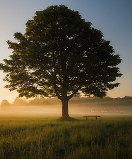 Image by Simon Wilkes