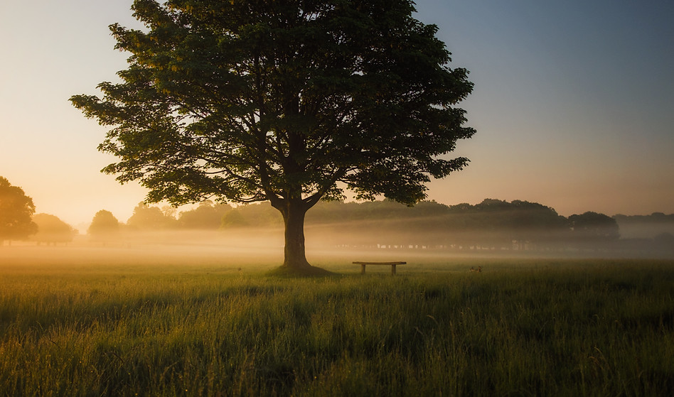 Image by Simon Wilkes