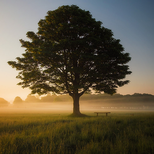 Image by Simon Wilkes