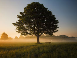 Five ways to be more mindful at work 