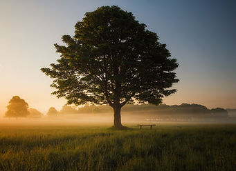 Image by Simon Wilkes