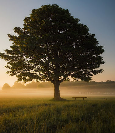 Image by Simon Wilkes