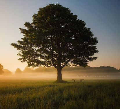 Image by Simon Wilkes