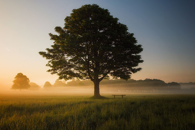 Image by Simon Wilkes