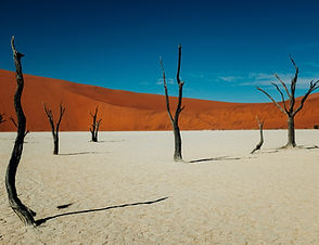 Image by Ashim D’Silva