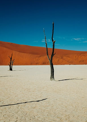 Image by Ashim D’Silva