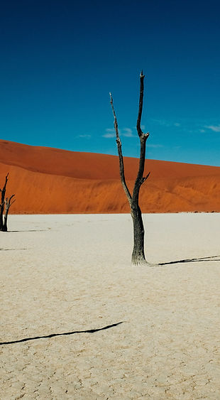 Image by Ashim D’Silva