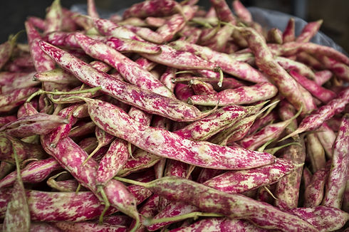 Dry bean pods