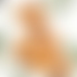 Tuesday Spotlight: Orange, Clove, Cinnamon