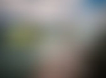 The True Church of the End Times