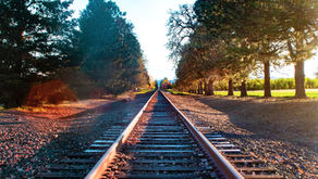 train tracks with trees lining the tracks on both sides