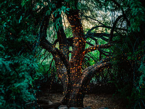 MYSTIC HOUR