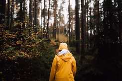 Image by Adrian Infernus